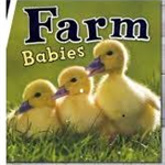 Farm Babies 